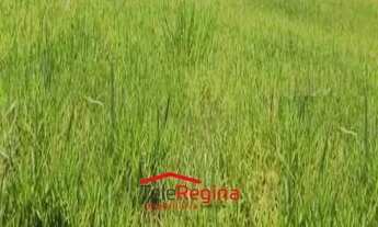 Imagem 2: TERRENO EM CAÇAPAVA - SP - CHACARA ITAMARATY