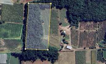 Imagem 4: Sítio com 2 Hectares e Parreiral no interior de Flores da Cunha - RS