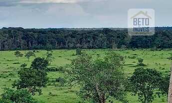 Imagem 5: Fazenda/Sítio/Chácara para venda com 112210000 metros quadrados em Jardim Aureny I - Palma