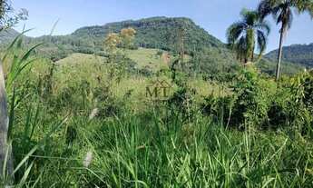 Imagem 3: Terreno bairro Joaneta, Picada Café.RS REF: 359