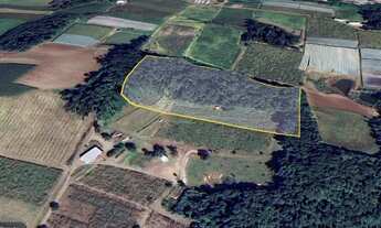 Imagem 5: Sítio com 2 Hectares e Parreiral no interior de Flores da Cunha - RS