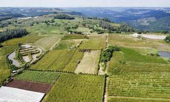 Imagem 2: INBOX CIA IMOBILILIÁRIA VENDE EM PINTO BANDEIRA - Área de terras com quatro hectares em Pi