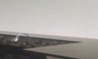 Imagem 3: Apartamento cobertura em Anchieta, 2 quartos