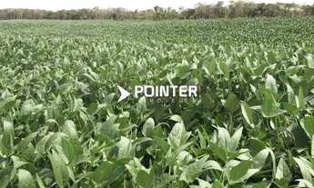 Imagem: Fazenda á venda com 1.742 hectares em Doverlândia