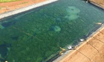 Imagem 4: Fazenda Recanto da Sucupira-Gleba 06 em Paracatu-MG - 125 Hectares R$ 12.000.000,00