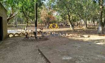 Imagem 4: EXCELENTE E ENORME CHÁCARA EM FRENTE AO RODOANEL