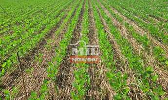 Imagem 5: REPASSE DE ARRENDAMENTO DISPONÍVEL BOM JARDIM (GO