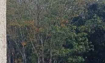 Imagem 7: Alugo apartamento (PNE) Villa das seringueiras ( Reserva villa natal