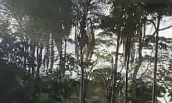 Imagem 4: Chácara à venda no bairro Chácaras São Pedro - Aparecida de Goiânia/GO