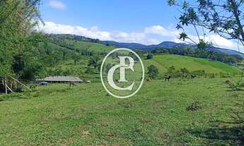 Imagem 6: Fazenda 34 Alqueires Pecuária e Agricultura à venda em Paraibuna/SP
