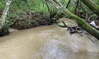 Imagem 7: Chácaras cercadas e com córrego em Cromínia!