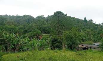 Imagem 5: 46 mil mts quadrados 350 mil reais