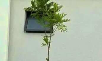 Imagem: Apartamento à venda no LIFE JOANES, BURAQUINHO