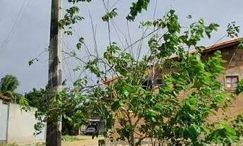 Imagem 3: Loteamento Flor do Genipapo, excelentes lotes 150 m², Sapeaçu, a partir de R$ 15.000,00