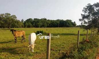 Imagem 2: Chácara 330 mil m² em Guapó