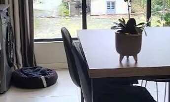 Imagem 2: Loft aconchegante mobiliado, c/AR 5 min Centro BNU