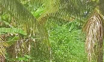 Imagem 7: Imóvel para venda com 1000 metros quadrados em Córrego do Ouro - Macaé - RJ