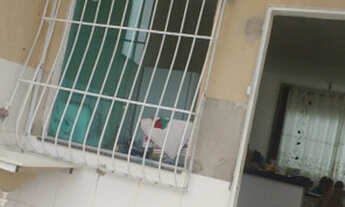 Imagem 4: Casa em meio lote com escritura e registro, pronta para morar oportunidade