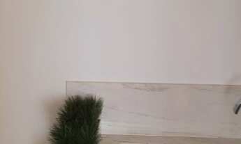 Imagem 3: Espetacular Via Trianon no Noroeste