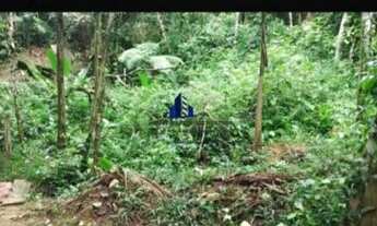 Imagem 3: Terreno Venda Ubatuba - SP - Itamambuca