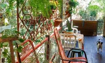 Imagem 6: Chácara Pinhão do Borba