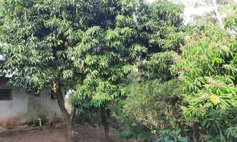 Imagem 3: Chácara em Brigadeiro próximo ao Chico Mendes