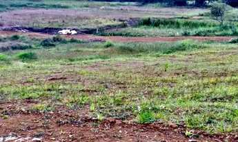 Imagem 3: 03i-Seu Sitio na planta esperando por você!