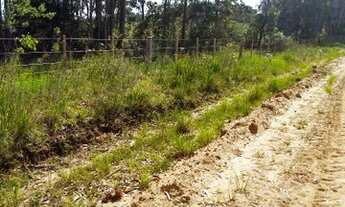 Imagem 6: Chácara a venda