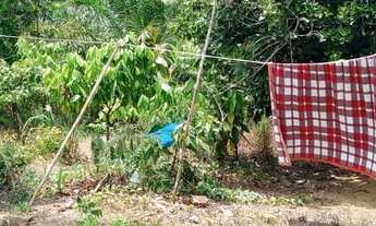 Imagem 3: Vendo excelente sitio Em jaguaripe