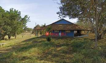 Imagem: Chácara com 10.000m², Estrada do Teixeirinha