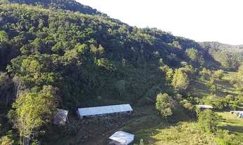 Imagem 6: Gramado - Sítio - SANDER