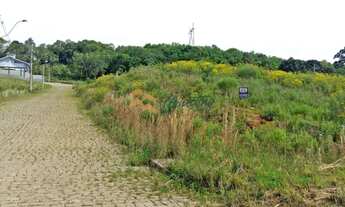 Imagem 3: Terreno Boa Vista em Monte Bérico