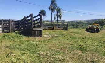 Imagem 2: Fazenda à venda