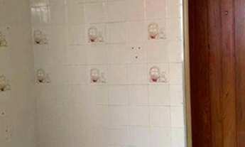 Imagem 2: Apartamento com 2 dormitórios à venda, 56 m² - Jardim Irajá - São Bernardo do Campo/SP