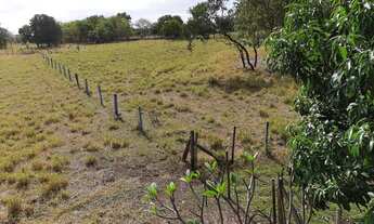 Imagem: Chácara Terenos - 2.43 Hectares a 30 minutos