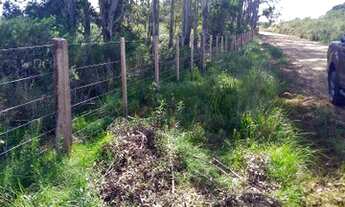 Imagem 5: Chácara a venda