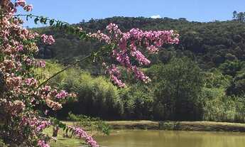 Imagem 4: Venda Sítio Zona Rural Itabirito