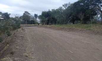 Imagem 3: Fazenda/sítios/chácaras com 1 dormitório à venda em Ribeirão Das Neves