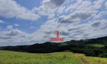 Imagem 7: Fazenda à venda 119 Alqueires por R$ 12.500.000 - Rural - Cândido de Abreu/Paraná