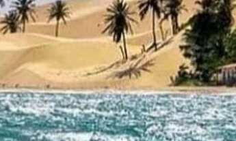 Imagem 3: Loteamento Lagoas Do Giral A 900 Metros Da Praia E A 2Km Do Centro De Paracuru... n°:38