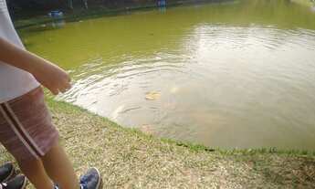 Imagem 3: Aluga-se chácara em Itupeva