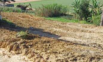 Imagem 6: Lote no centro de Antônio Carlos-SC