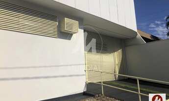 Imagem 2: Casa (térrea na rua) 4 dormitórios/suite