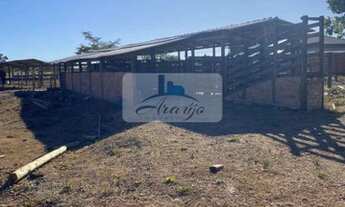 Imagem 5: Dois Irmãos do Tocantins - Chácara - Setor Central