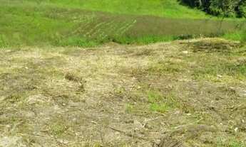 Imagem 4: Desapego agora desses terrenos em Cotia!