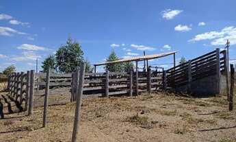 Imagem 3: Sitio de 4 hectares Toda Formada, Muita Água, Localizado no Santo Antônio do Descoberto
