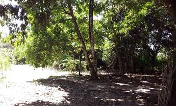 Imagem 6: Terreno 75x300 Casa+Poço Artesiano! - CASTANHAL PA