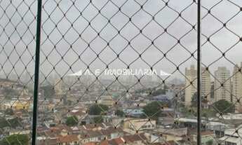 Imagem 2: São Paulo - Apartamento Padrão - VILA ROQUE