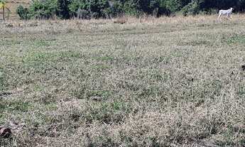 Imagem 6: Fazenda à venda