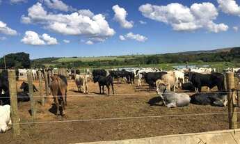 Imagem 3: Fazenda em Parauapebas